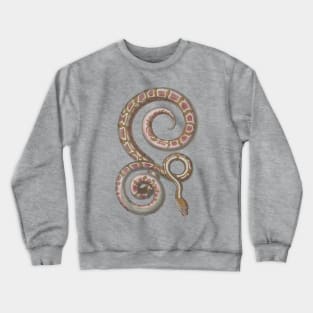 Python Vintage Snake Reptile Scientific Drawing Crewneck Sweatshirt